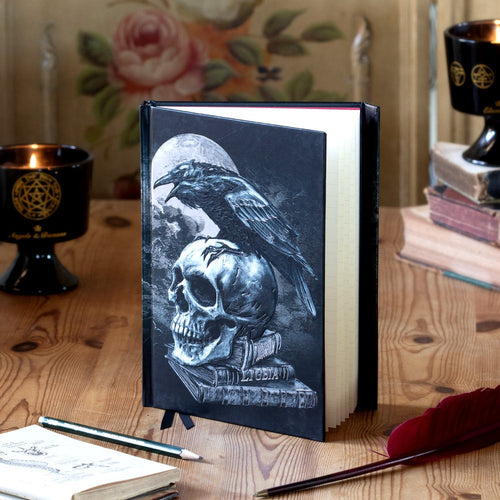 Alchemy Gothic Poe's Raven Foiled Journal (ANB1)