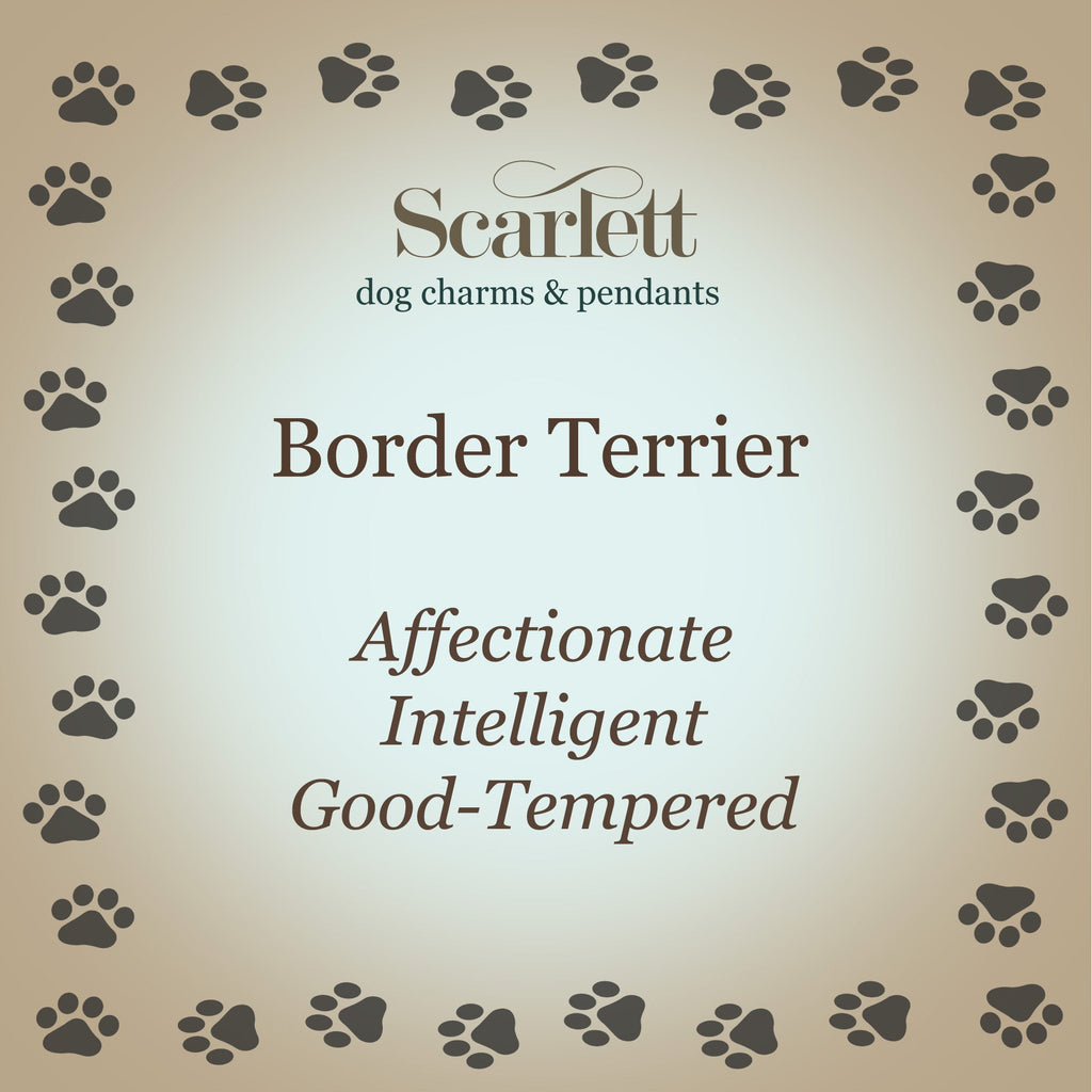 Border Terrier Personalised Silver Dog Tag Necklace