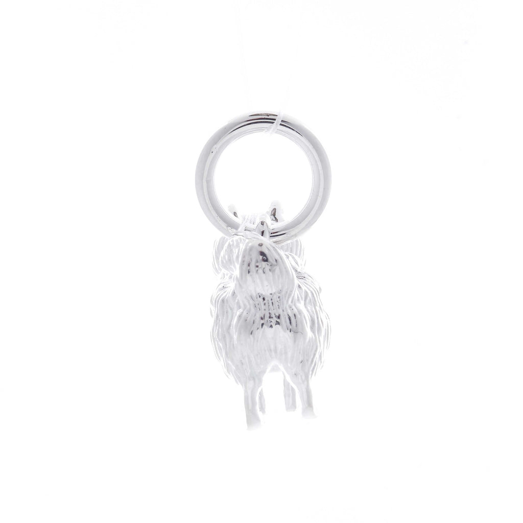 Pomeranian Personalised Silver Dog Tag Necklace