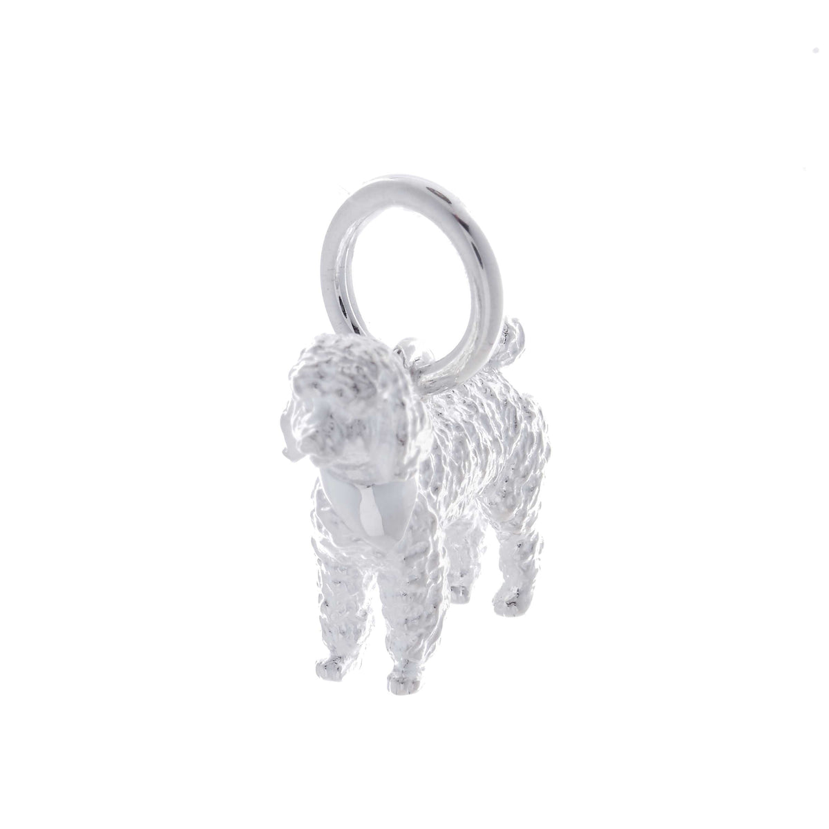 Poodle Personalised Silver Dog Tag Necklace