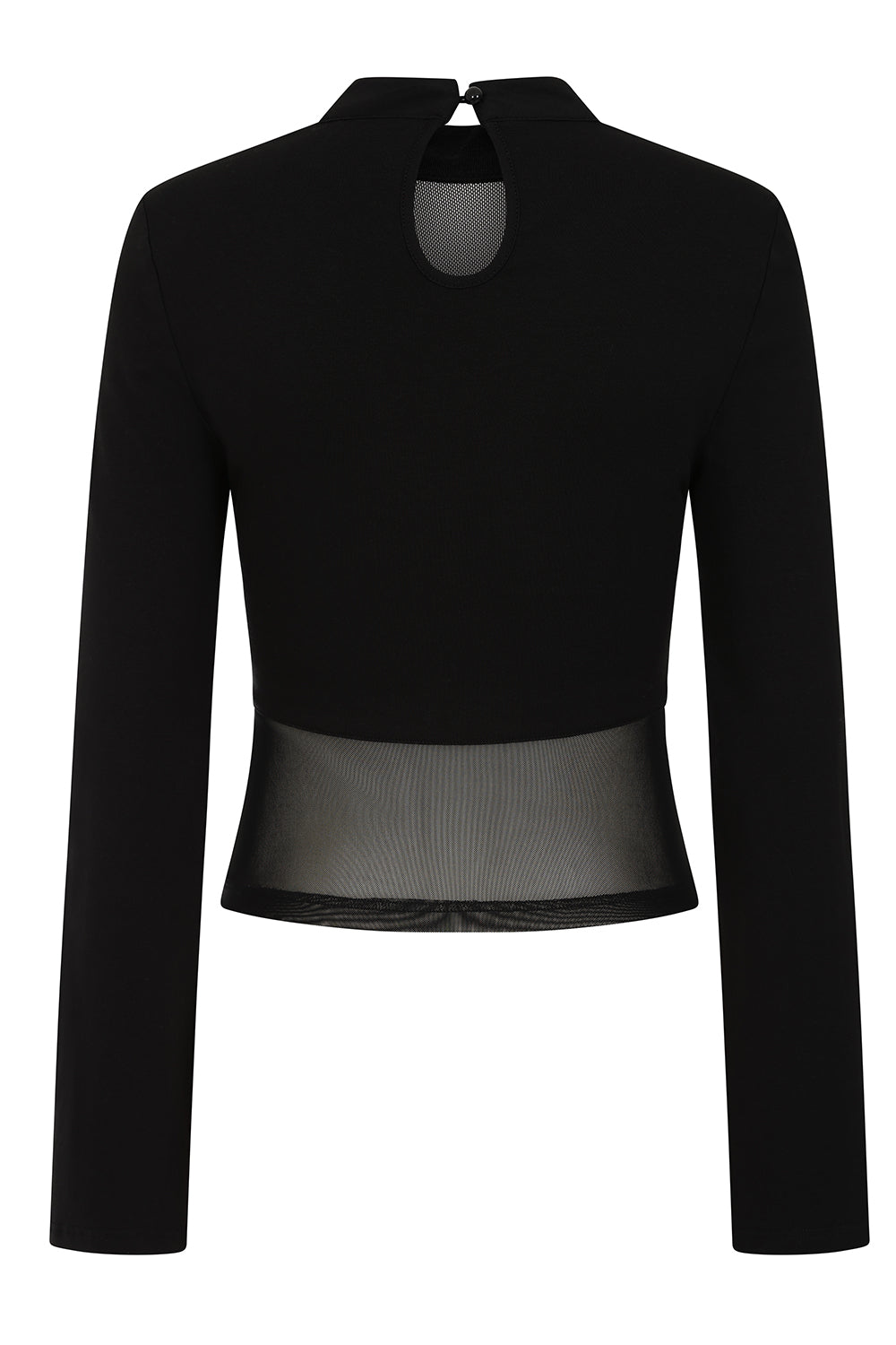 Banned Cordelia Sheer Mesh Panel Goth Top in Black - DevilGothic DevilGothic