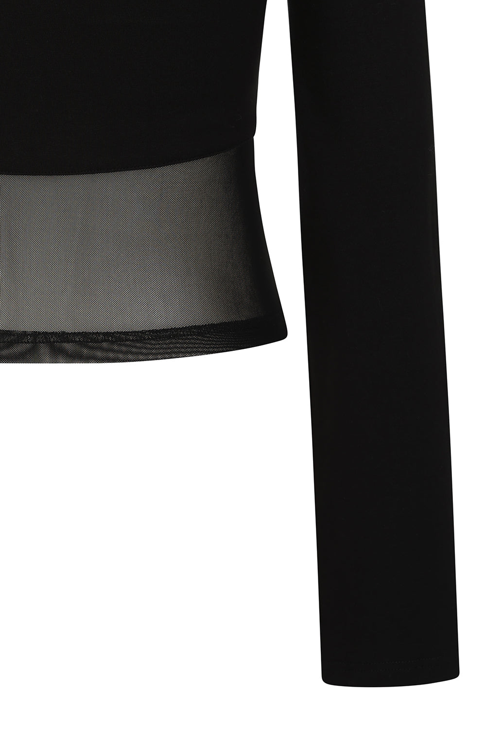 Banned Cordelia Sheer Mesh Panel Goth Top in Black - DevilGothic DevilGothic