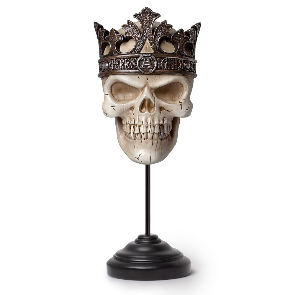 Alchemy Gothic Alchemist Rex Ornament & Wall Decoration (V123)