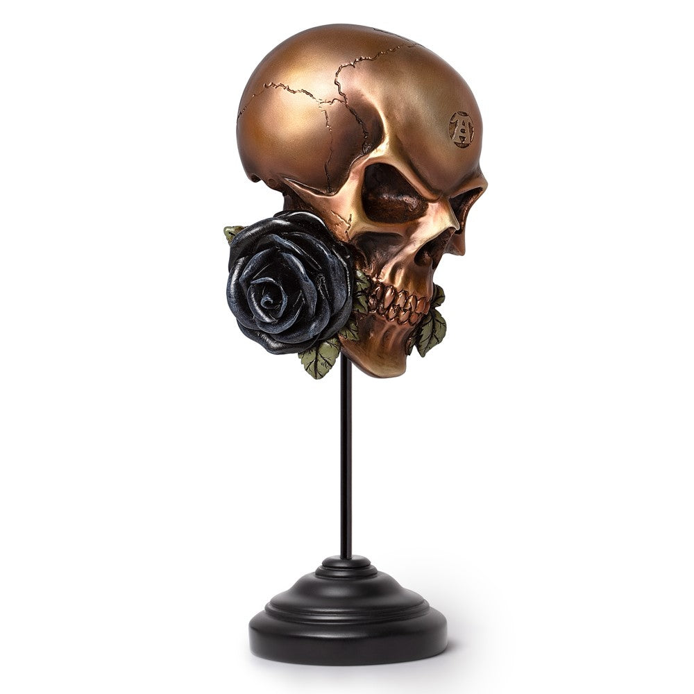 Alchemy Gothic Alchemist Askance Ornament & Wall Decoration (V124)