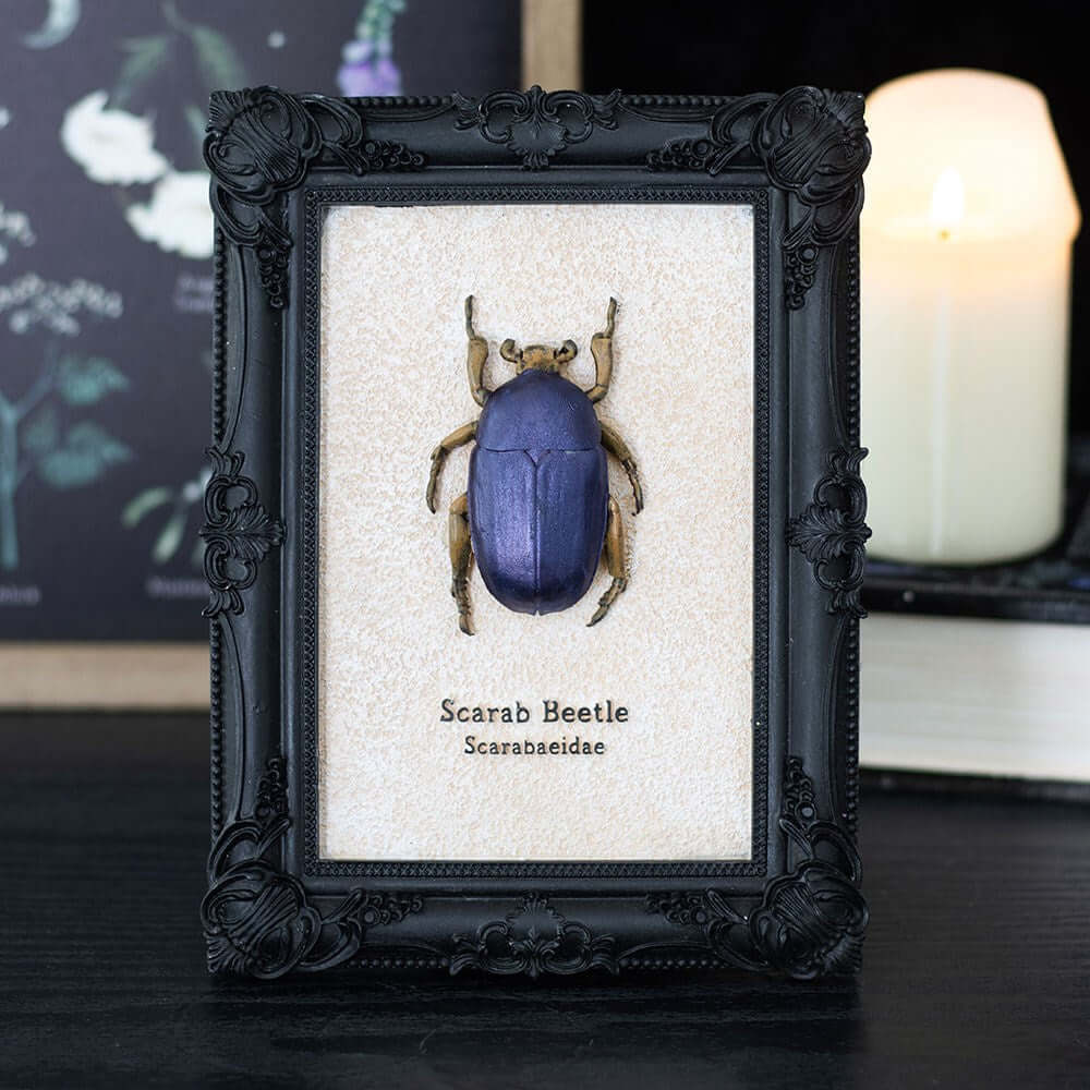 Gothic Gifts Scarab Beetle Framed Wall Art Print - DevilGothic DevilGothic