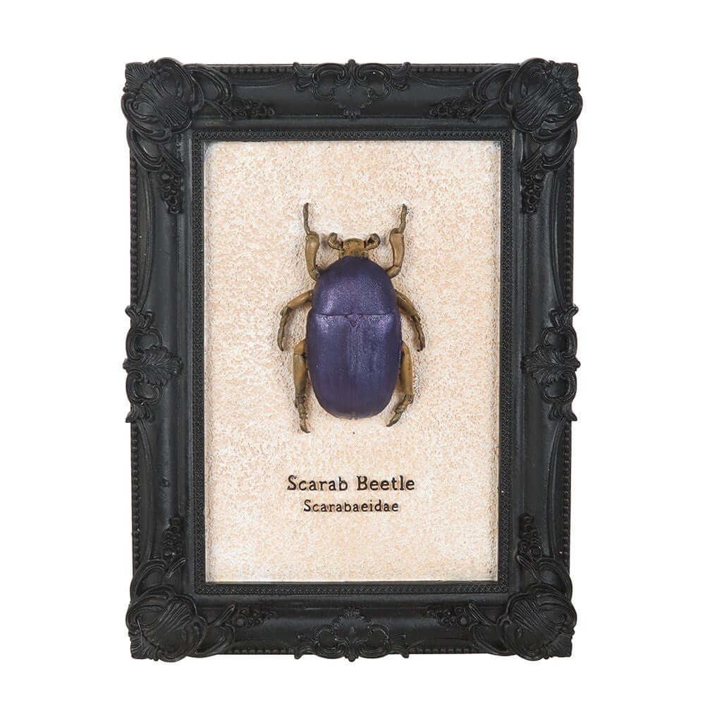 Gothic Gifts Scarab Beetle Framed Wall Art Print - DevilGothic DevilGothic
