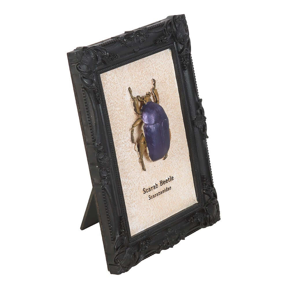 Gothic Gifts Scarab Beetle Framed Wall Art Print - DevilGothic DevilGothic