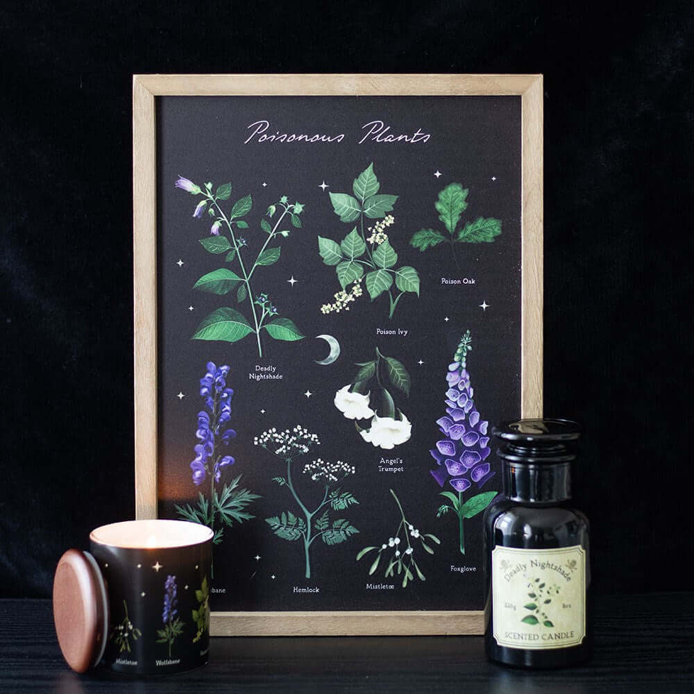 Gothic Gifts Poisonous Plants Framed Wall Art Print