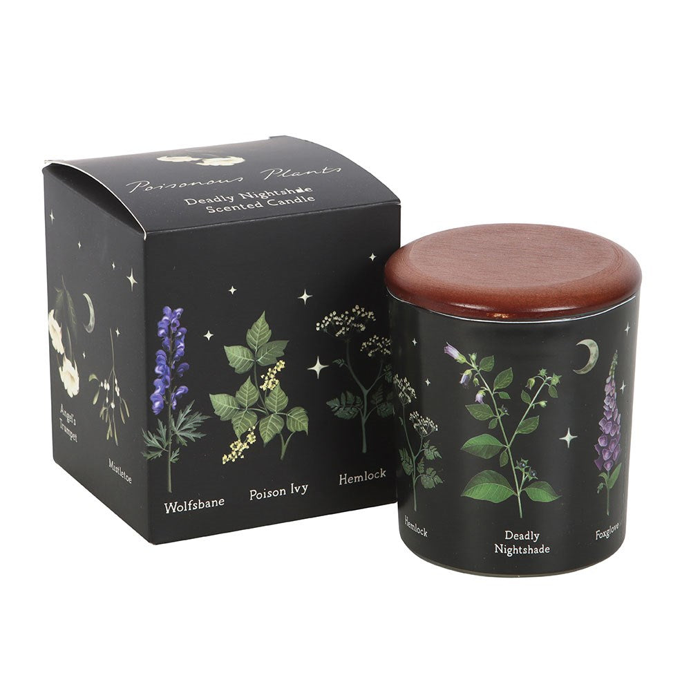 Gothic Gifts Deadly Nightshade Poisonous Plants Scented Candle - DevilGothic DevilGothic