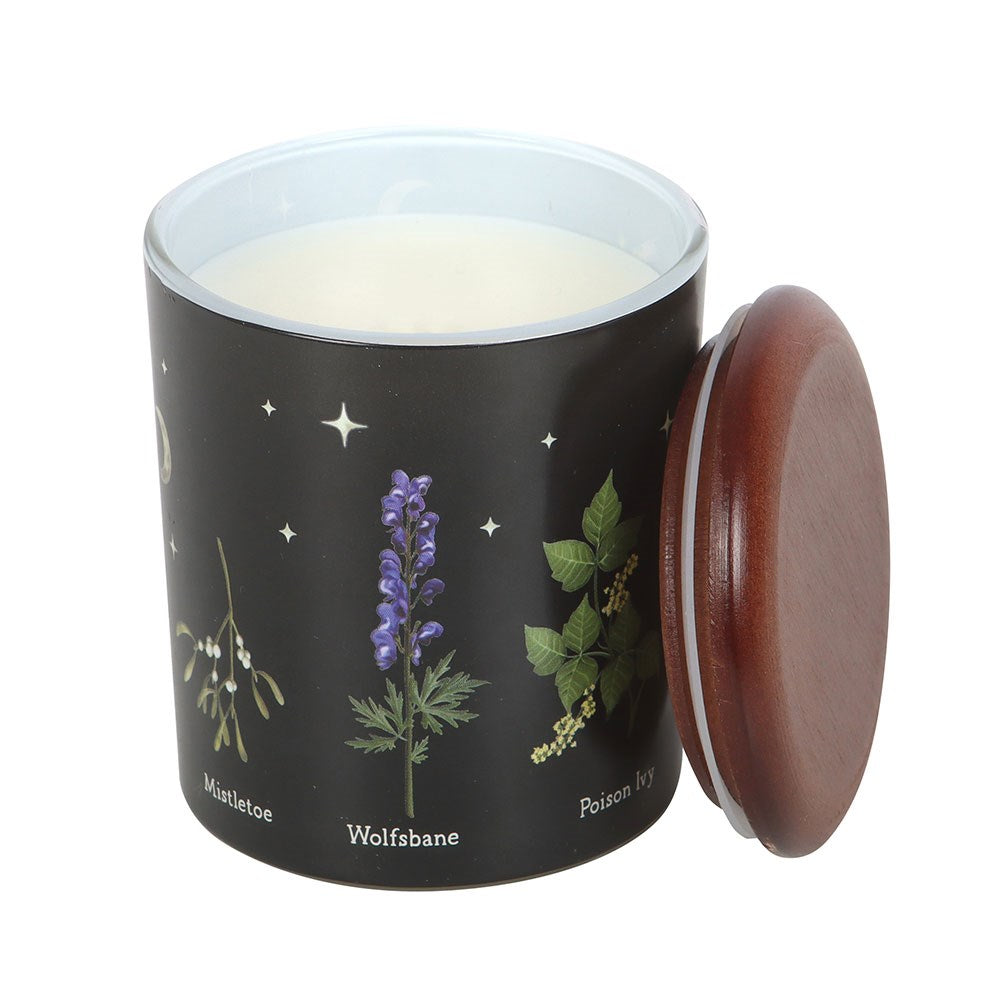 Gothic Gifts Deadly Nightshade Poisonous Plants Scented Candle - DevilGothic DevilGothic