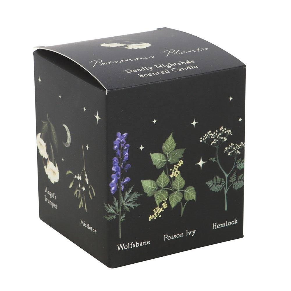 Gothic Gifts Deadly Nightshade Poisonous Plants Scented Candle - DevilGothic DevilGothic
