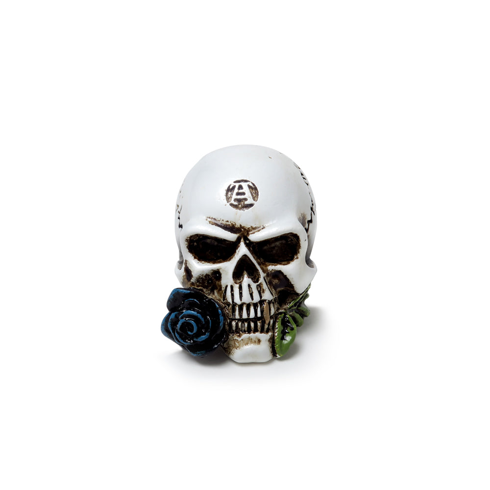 Alchemy Gothic Alchemist Skull: Miniature Model (VM6)