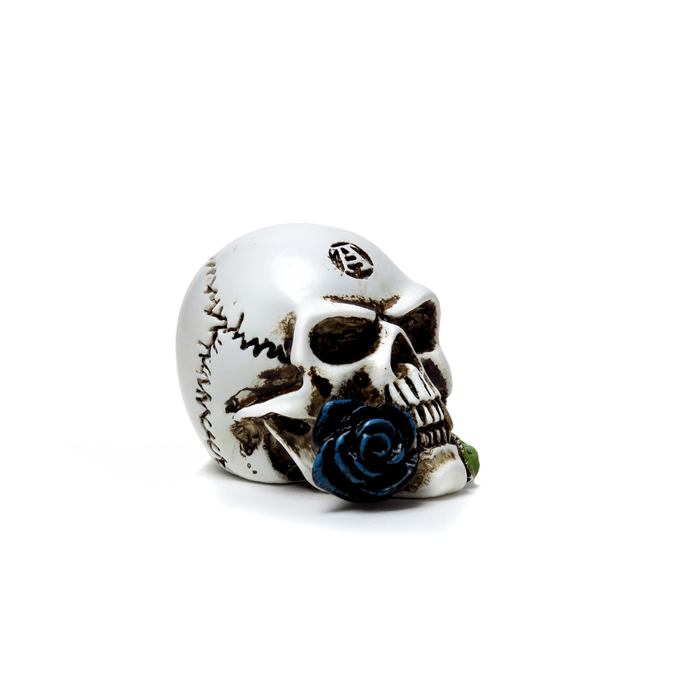 Alchemy Gothic Alchemist Skull: Miniature Model (VM6)