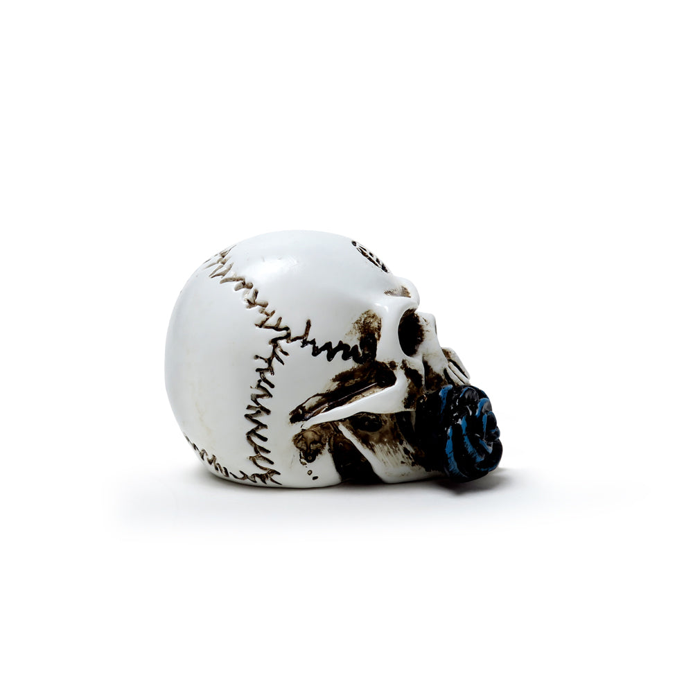 Alchemy Gothic Alchemist Skull: Miniature Model (VM6)