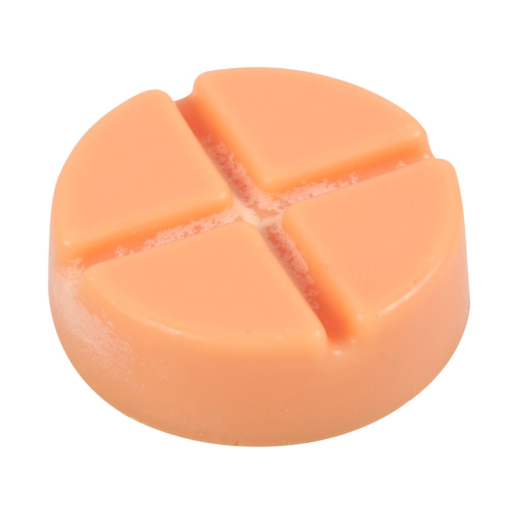 Gothic Gifts Pumpkin Spiced Soy Wax Snap Disc - DevilGothic DevilGothic