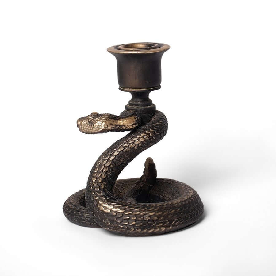 Alchemy Gothic  Death Rattle Candle Holder - DevilGothic DevilGothic