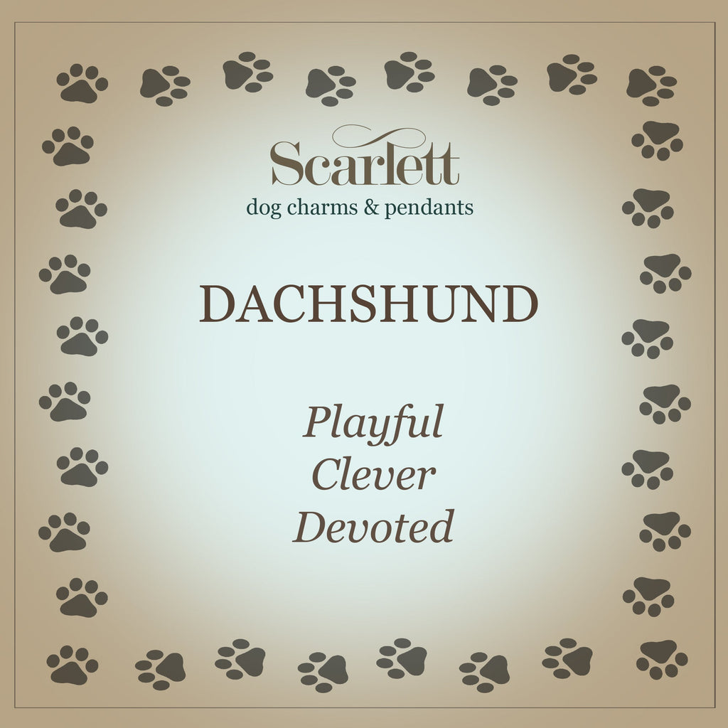 Dachshund Personalised Silver Dog Tag Necklace
