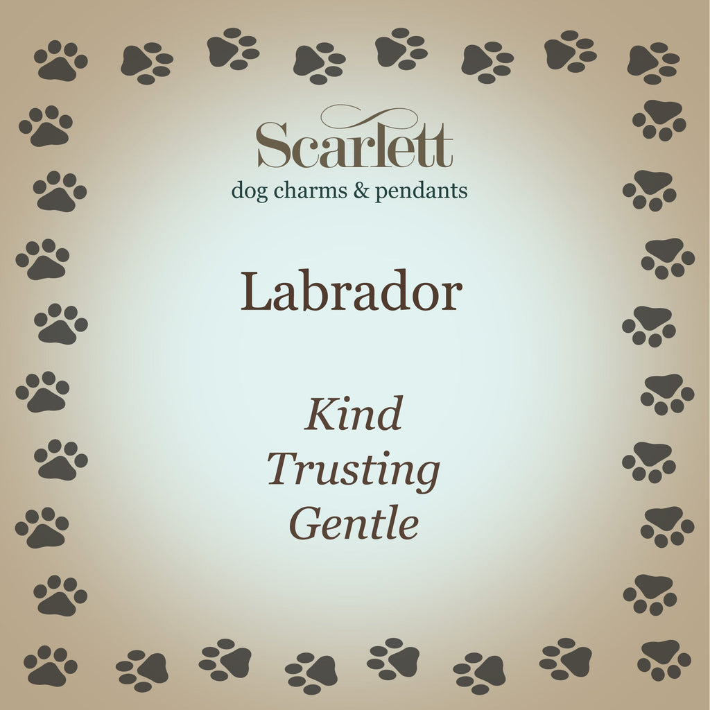 Labrador Personalised Silver Dog Tag Necklace